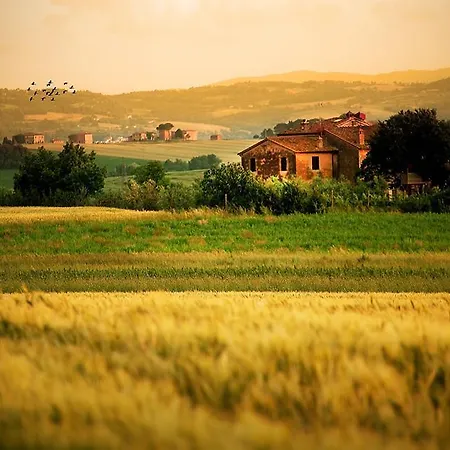 Poggio Mille *